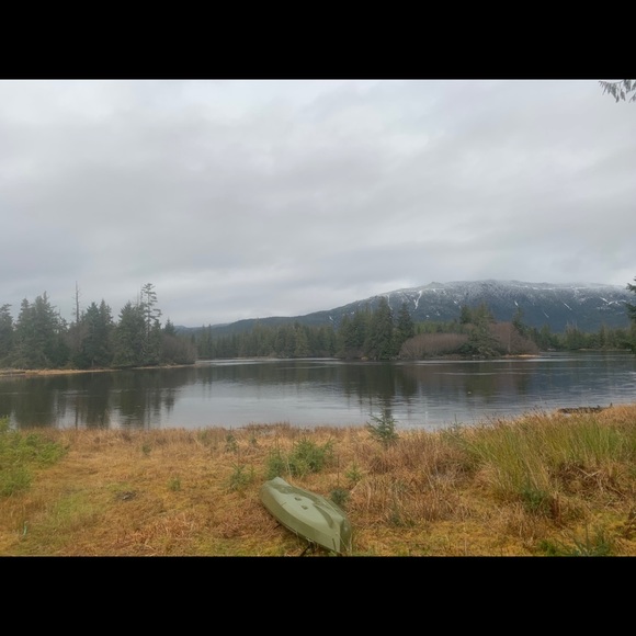 Meet your Posher, Heidi - Picture 1 of 1